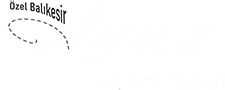 Ayaz Sürücü Kursu Logo